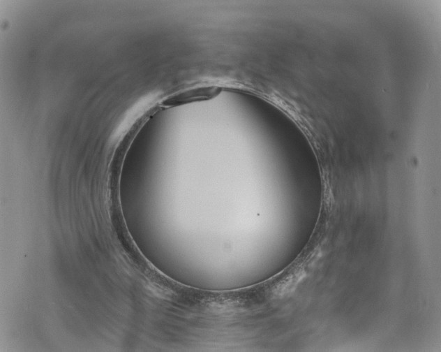 X0000076400199200610161213