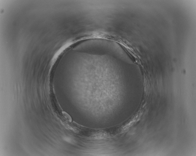 X0000076400200200610161213