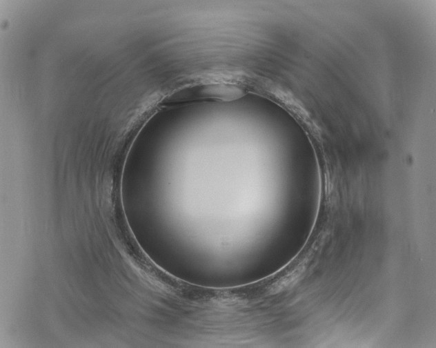 X0000076400201200610161213