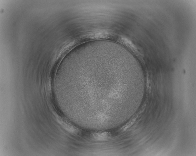 X0000076400202200610161213