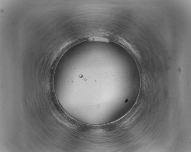 X0000076400203200610161213