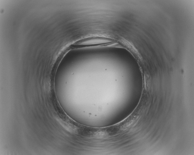 X0000076400204200610161213