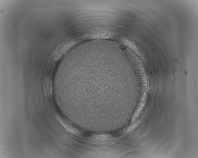 X0000076400205200610161213