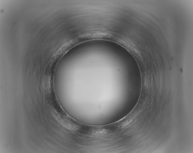 X0000076400206200610161213