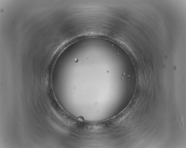 X0000076400208200610161213