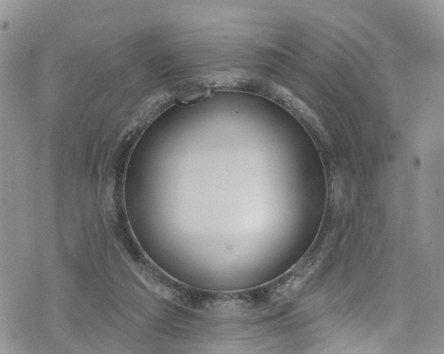 X0000076400209200610161213