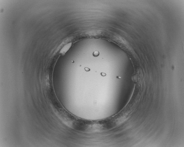 X0000076400212200610161213