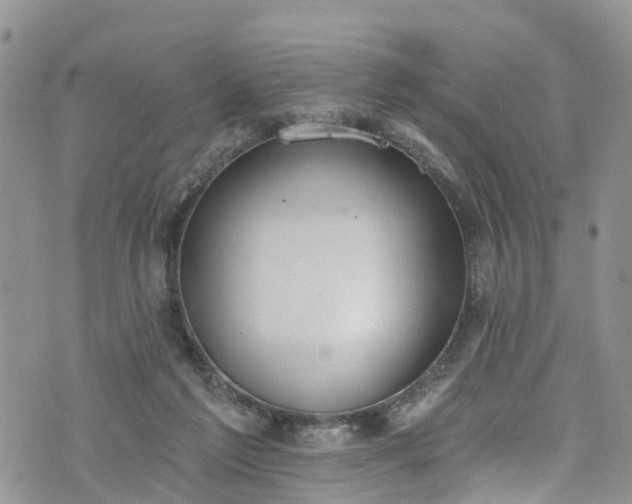 X0000076400213200610161213