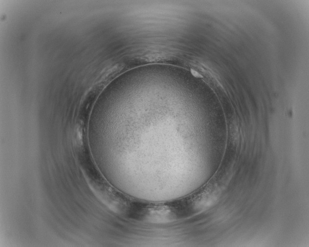 X0000076400214200610161213