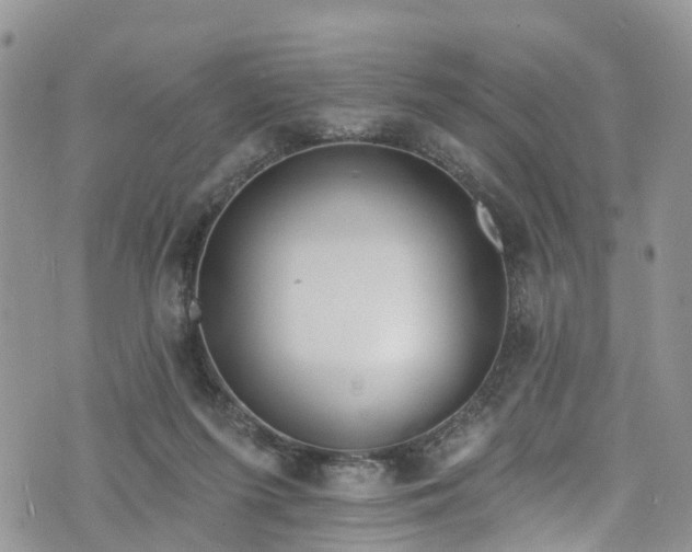 X0000076400215200610161213