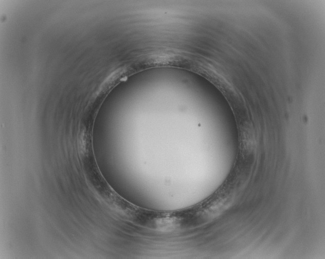 X0000076400216200610161213