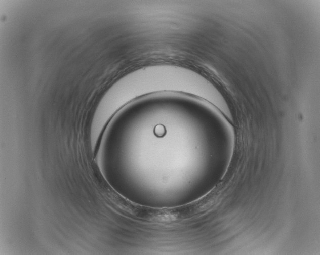 X0000076400217200610161213