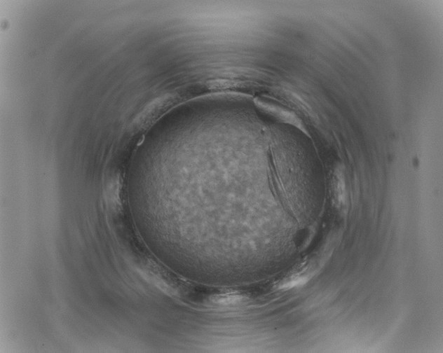 X0000076400219200610161213