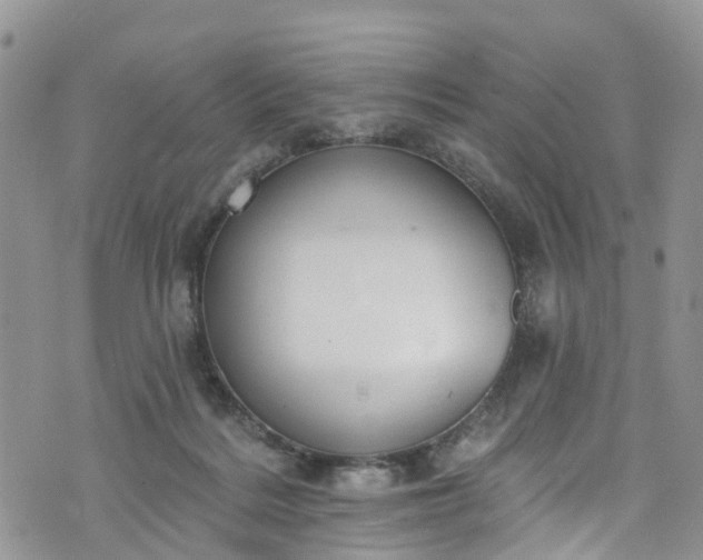 X0000076400220200610161213