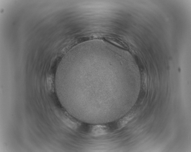 X0000076400222200610161213