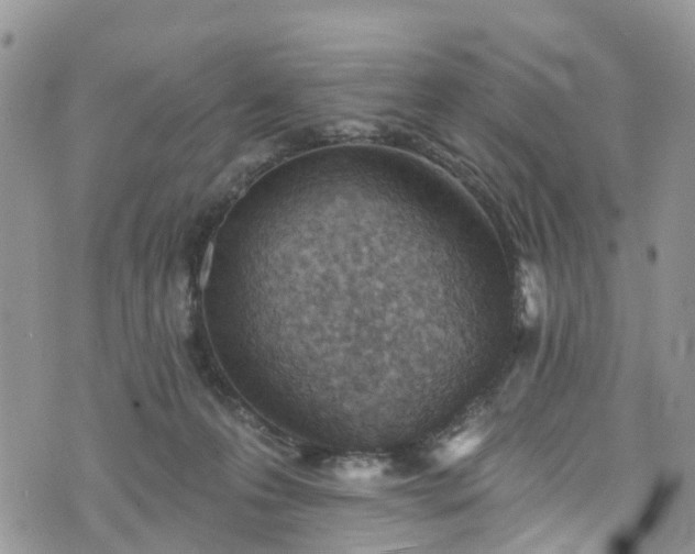 X0000076400223200610161213