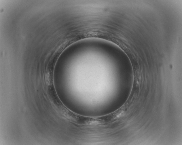 X0000076400224200610161213