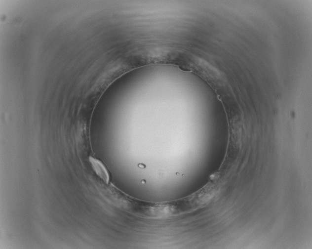 X0000076400225200610161213