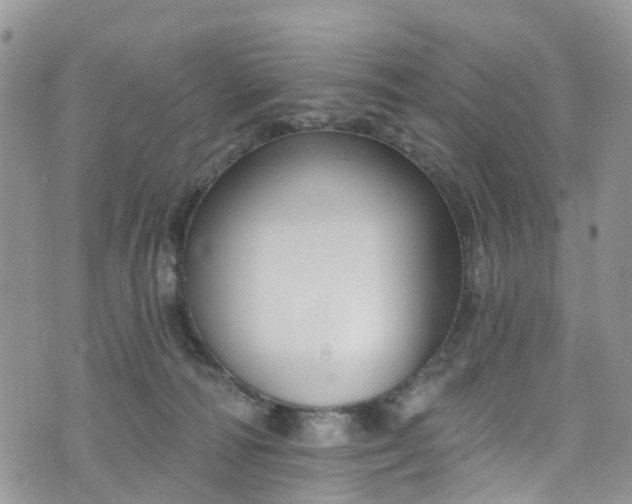 X0000076400226200610161213