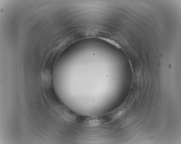 X0000076400228200610161213