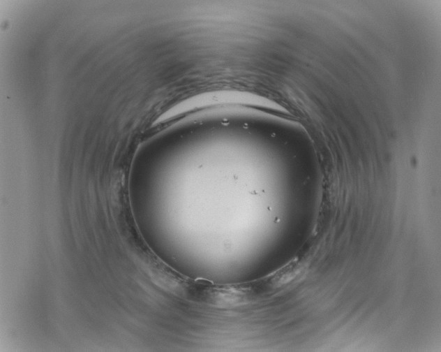 X0000076400229200610161213