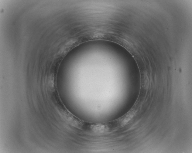 X0000076400230200610161213