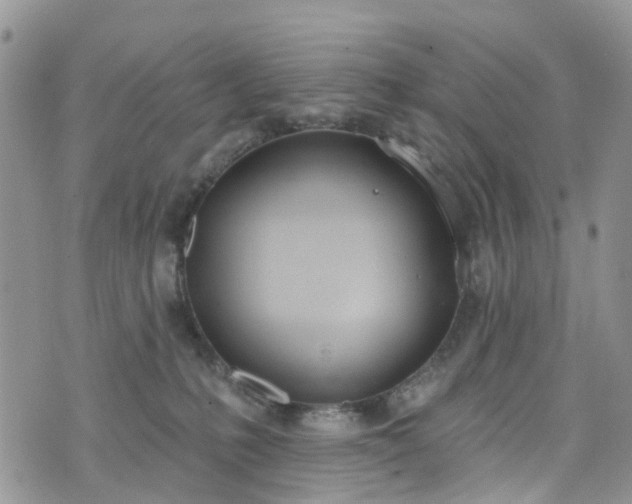 X0000076400231200610161213