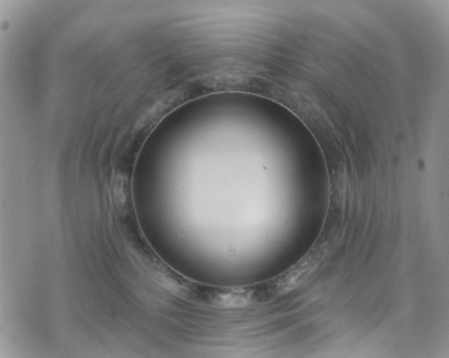 X0000076400232200610161213