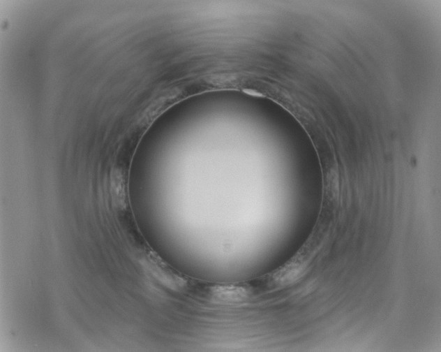 X0000076400234200610161213