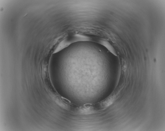 X0000076400235200610161213