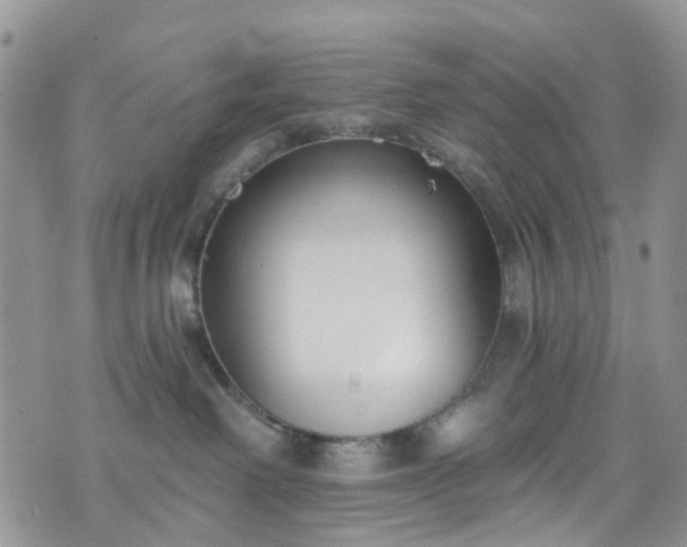 X0000076400238200610161213