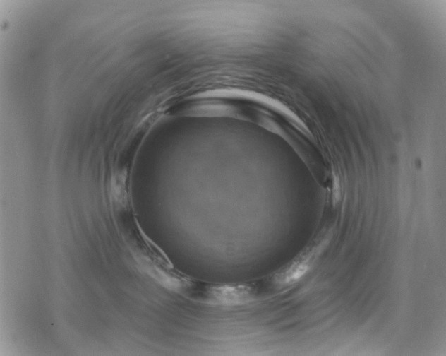 X0000076400239200610161213