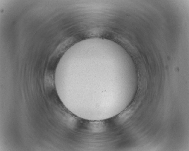 X0000076400240200610161213