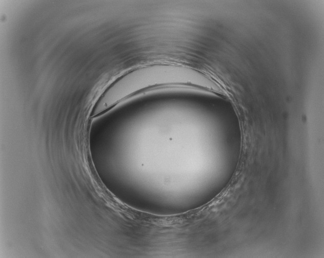 X0000076400241200610161212