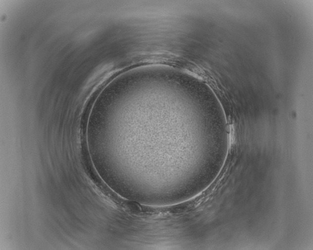 X0000076400243200610161212