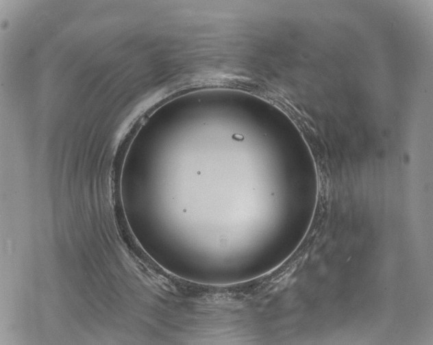 X0000076400244200610161212