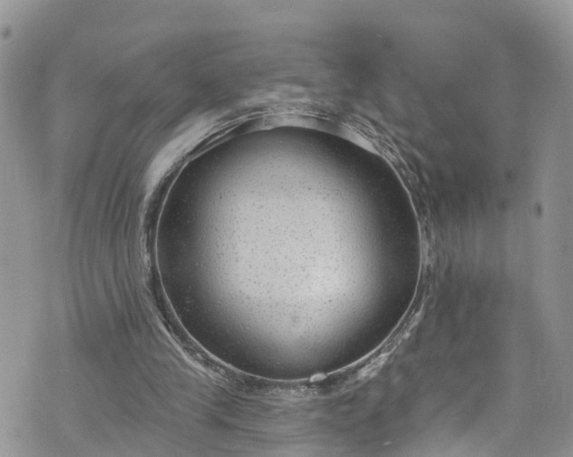 X0000076400245200610161212