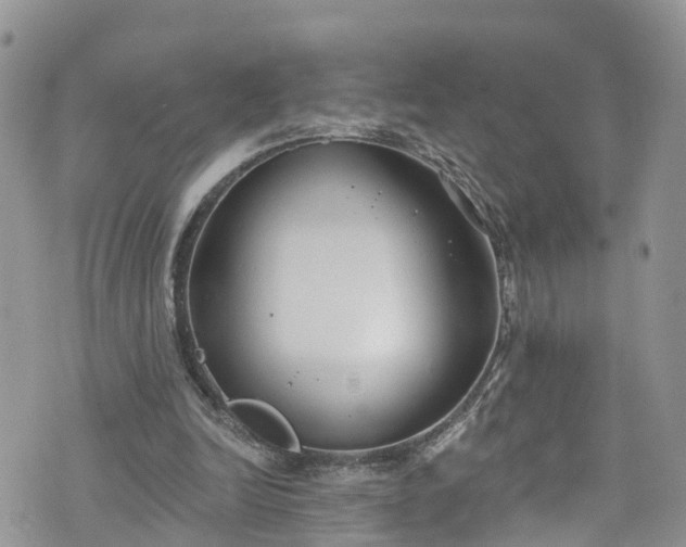 X0000076400246200610161212