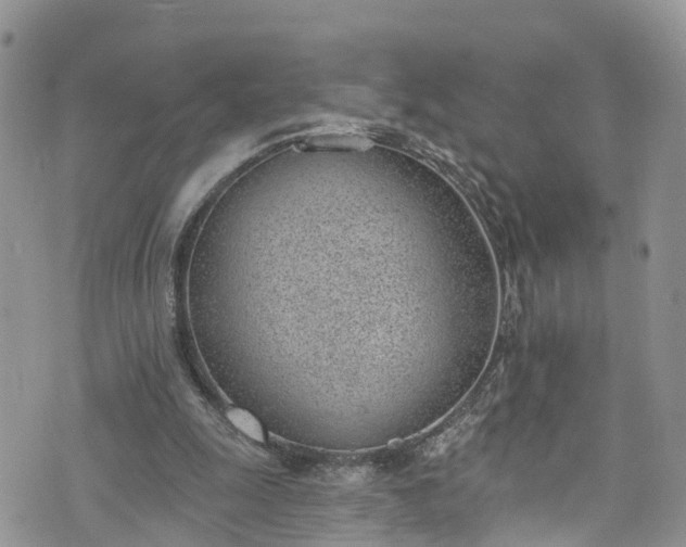 X0000076400247200610161212