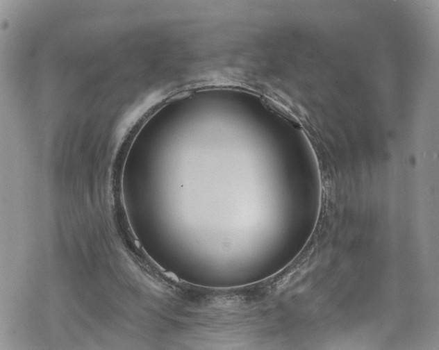 X0000076400248200610161212