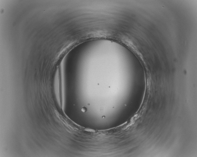 X0000076400249200610161212