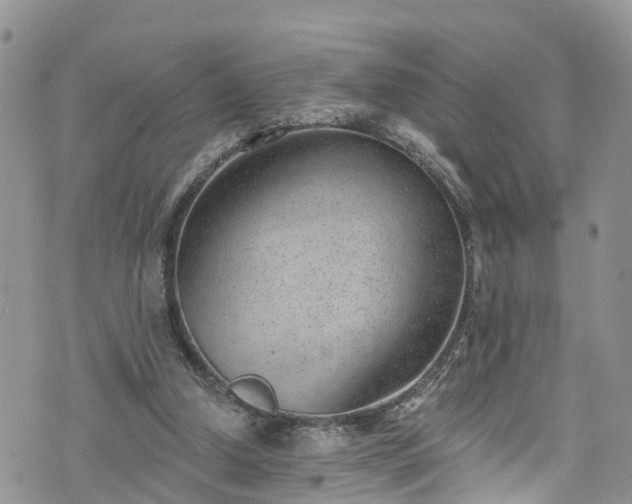 X0000076400250200610161212