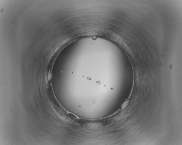 X0000076400251200610161212