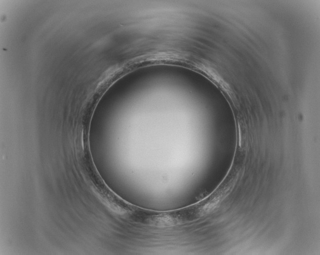 X0000076400253200610161212