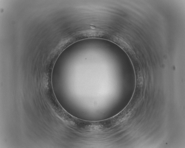 X0000076400255200610161212