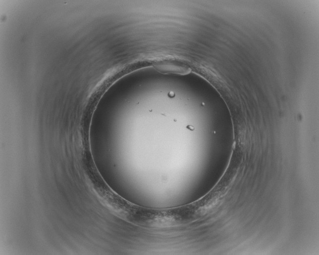 X0000076400256200610161212