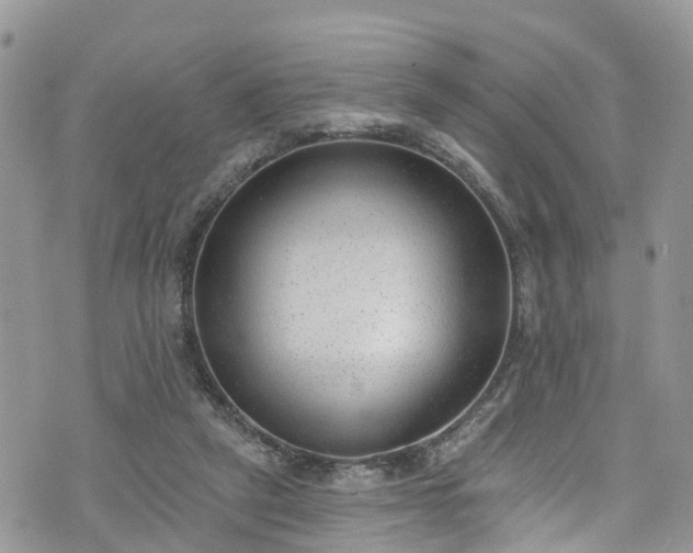 X0000076400257200610161212