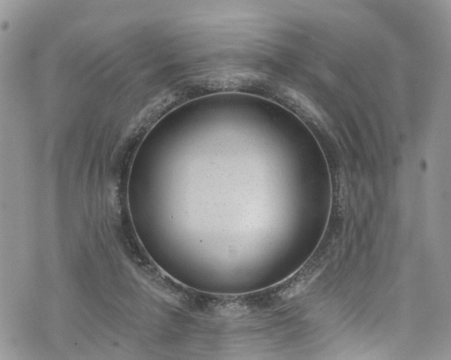 X0000076400258200610161212