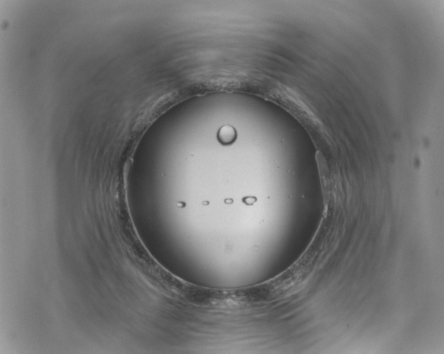 X0000076400259200610161212