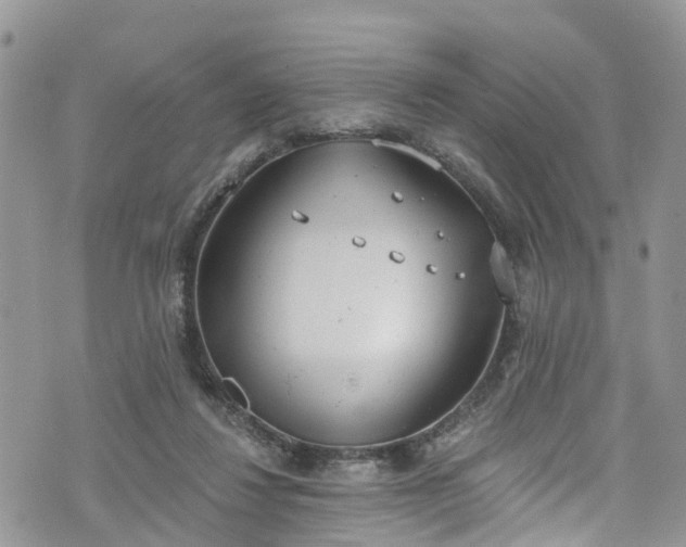 X0000076400260200610161212